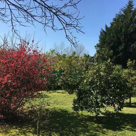 Quinta Das Raparigas منزل ريفي